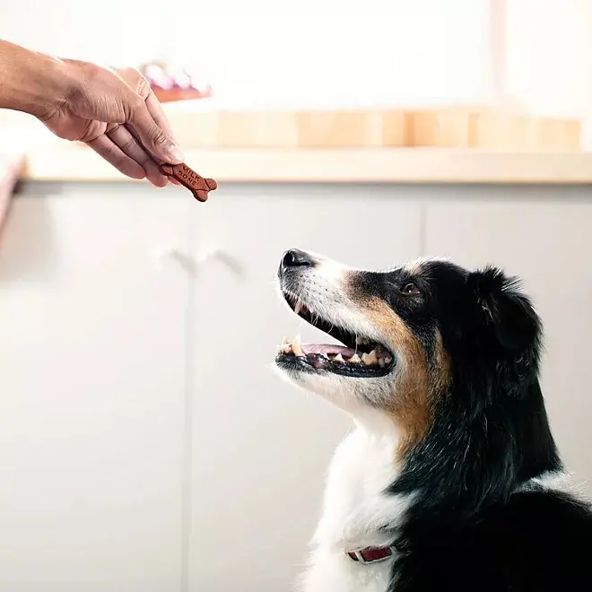 Milk bone soft chewy carne mignon 37 oz 1.05kg