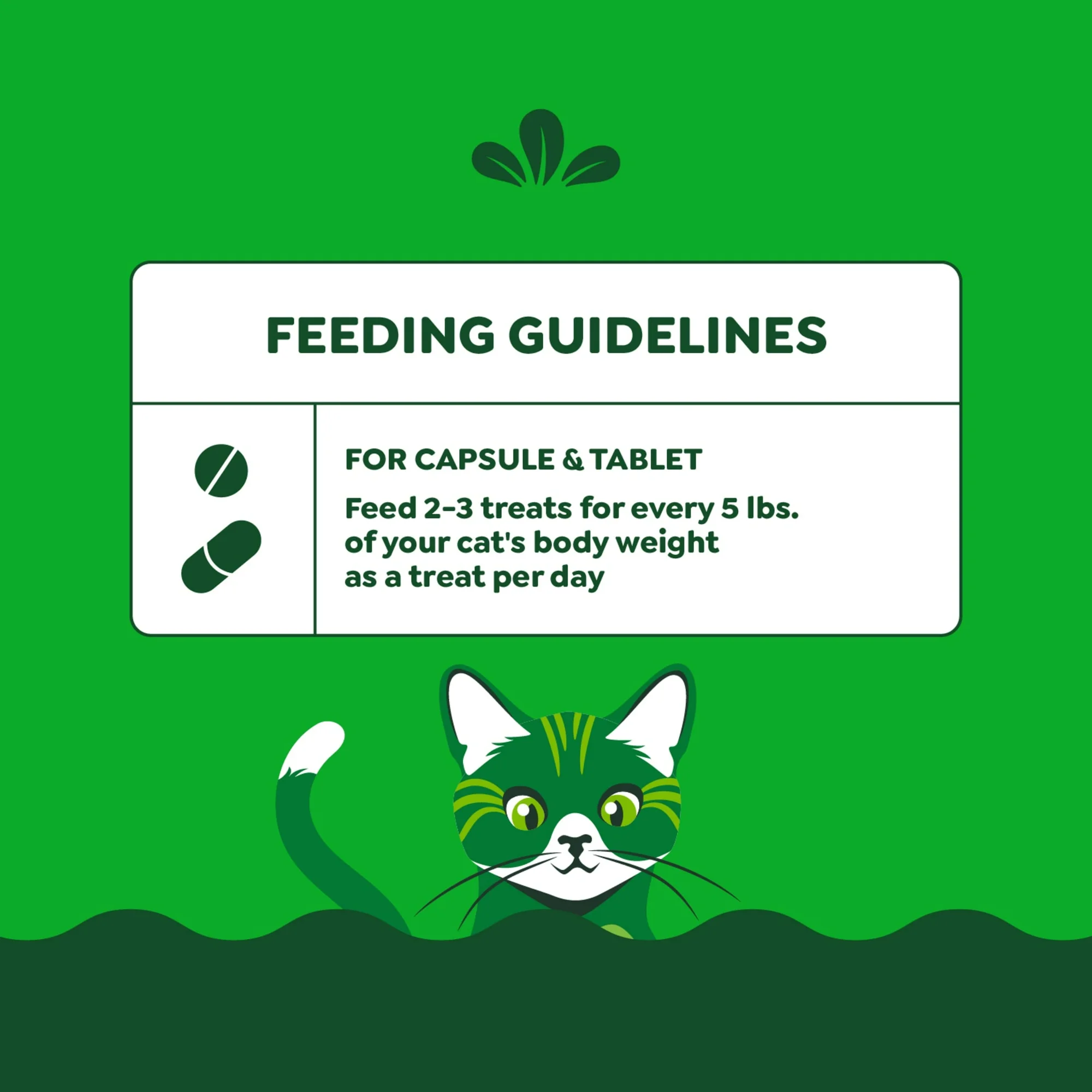 Greenies Pill Pocket Para Gato Facilita Dar Medicina Catnip 45pz