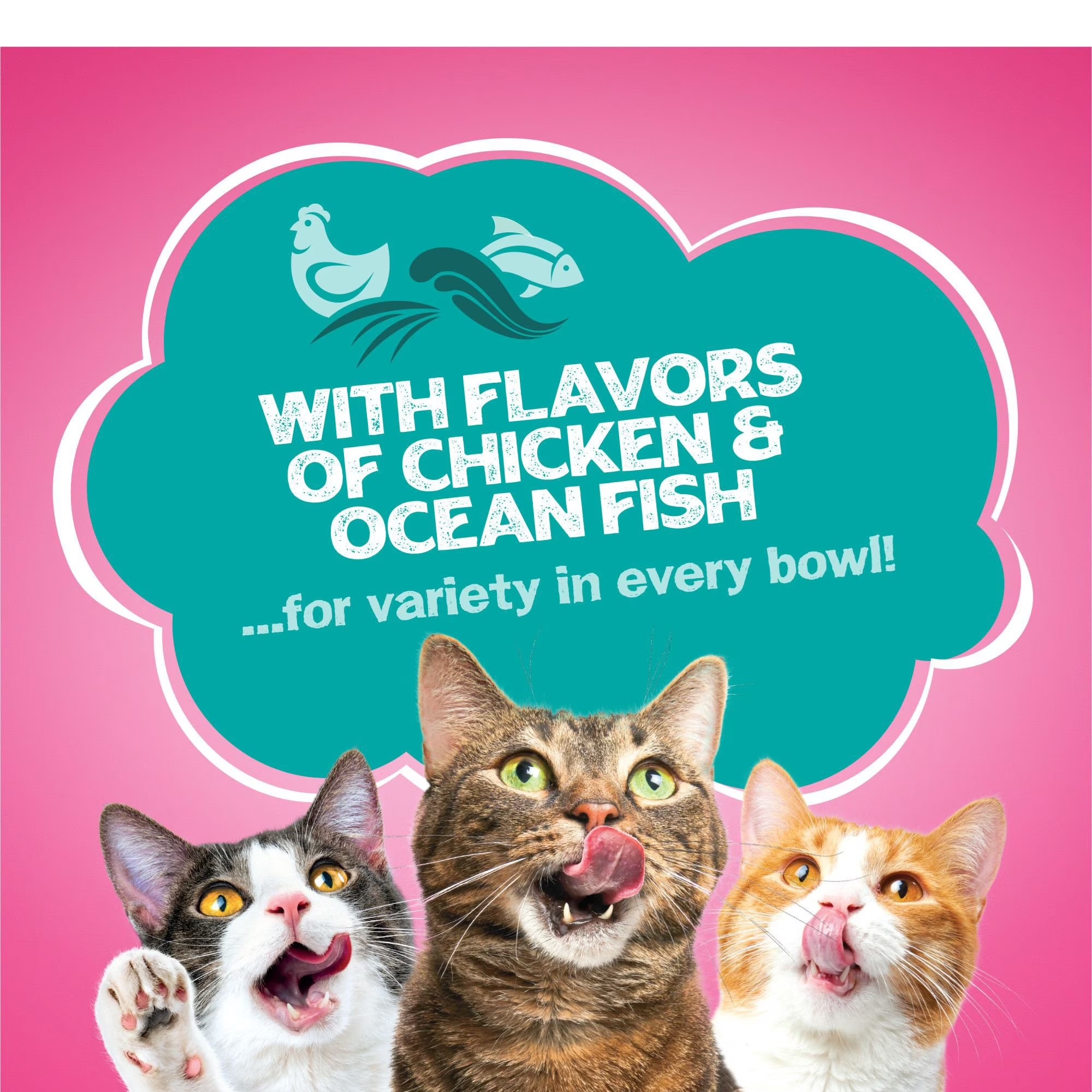 Friskies Land & Sea Adventures alimento seco para gato sabor a pollo y pescado de mar 14.5