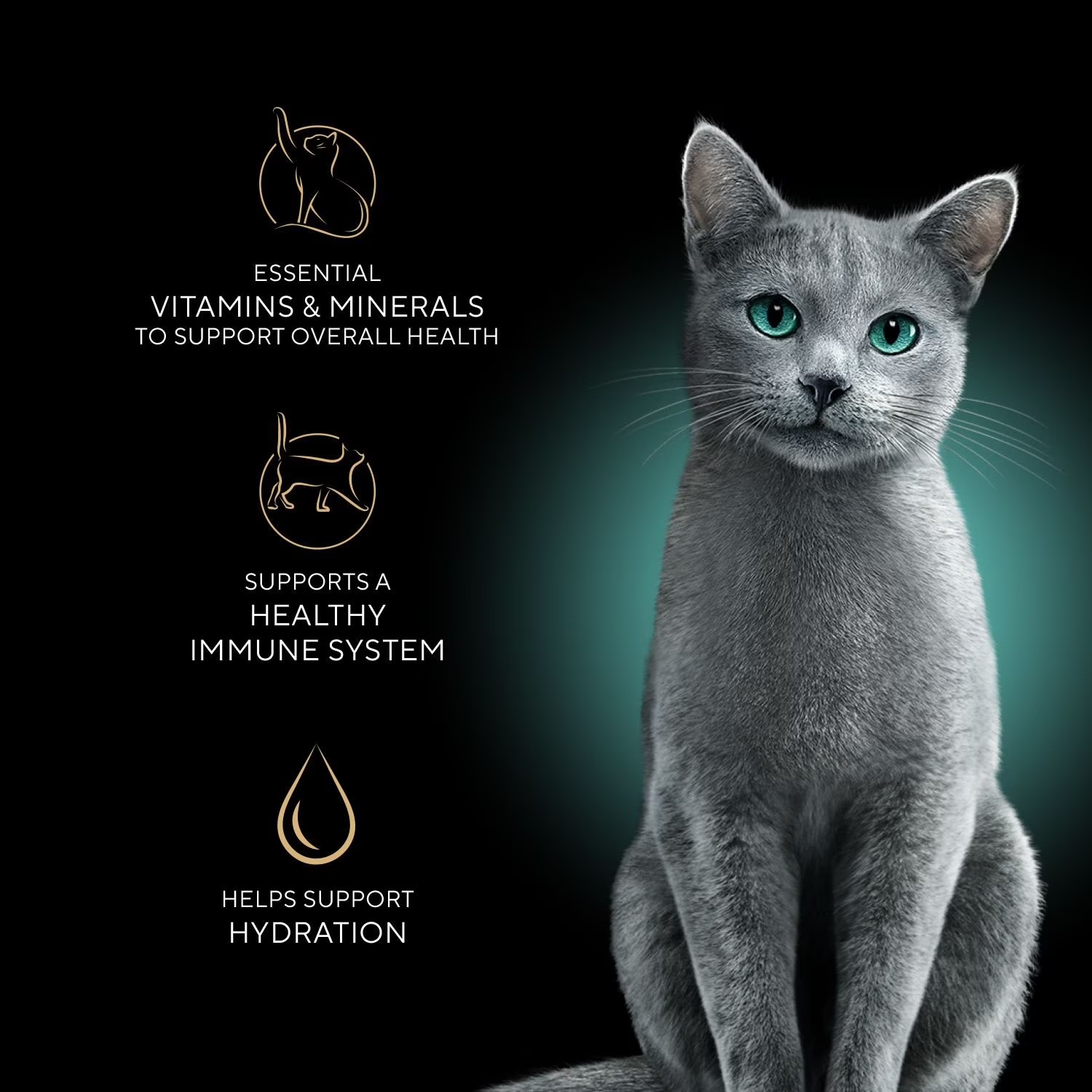 Sheba alimento húmedo para gato adulto 120 porciones variado